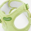 쁘띠독애견펜션 이미지