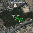 도구머리 이미지