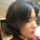 수진헤어 네이버블로그