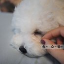 나나그룸 이미지