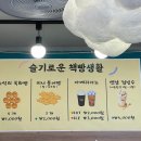 슬기로운책빵생활