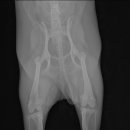 마송동물병원 이미지