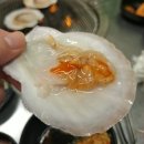 함덕초등학교 | [ 제주 함덕 _ 함덕592 자갈마당 ] 신선한 가리비를 즐길 수 있는 조개구이 내돈내산 맛집 추천