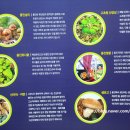 고초령 산양삼 이미지