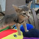 조은 느낌 이미지