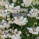 숲속의아침(선유원) 이미지