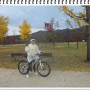 안성면105 이미지