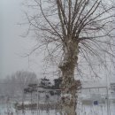 태안초등학교 이미지