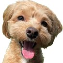 성남참조은약국 이미지