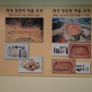 한신대학교 박물관 네이버블로그