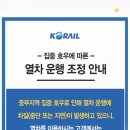 (주)가나여행 네이버블로그