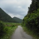 화학산등산로 이미지