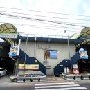 제천약초시장 이미지