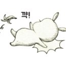 신운미애견미용실 이미지