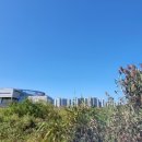 화랑유원지_남측 이미지