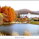 용인 국외대 글로벌캠퍼스 명수당 단풍명소 이미지