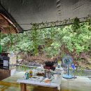 성주우리쉼터 이미지