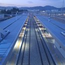 고래고래 이미지