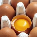 유나네 자연숲 농장 | 6시내고향 달걀 농장 경기 연천 계란 청산에 살리라 유정란 난각번호 1번 유나네자연숲농장 주문 택배