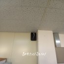 오성장미수목원 이미지
