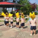 금릉초교(병설) 이미지