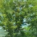 디 에떼 에스프레소 화폐박물관점 이미지