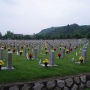 묘지 이미지