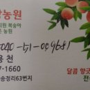 늘해랑농원 네이버블로그