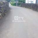 제주대지공인중개사사무소 이미지