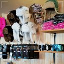 월드샵 | 강촌엘리시안스키장 개장일 및 월드스키 렌탈샵 이용 후기