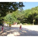 성남남한산성시장(은행골목시장) 이미지