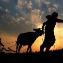 하늘땅바다친구 이미지