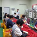 거창오미자영농조합법인 이미지