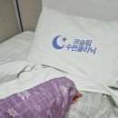 레즈메드 | 레즈메드 양압기 임대 사용 후기, 양압기 업체 변경 후 달라진 관리 경험