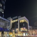 [2412-2503] 웨딩. 결혼반지 원정대 2 (아크레도 청담 매장 구매, 웨딩링 상담, 다이렉트박람회 할인...