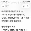 260826-태추단감농장 흙 산성도 측정방법 이미지