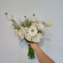 준플라워 이미지