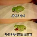 온한방병원 네이버블로그