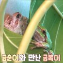 금순이농장 이미지