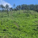 토지나라공인중개사사무소 이미지