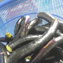 큰엄마밥상 이미지