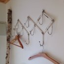 나무사이에 자연속으로 이미지