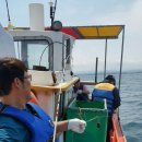 설악비치하우스 민박 이미지