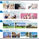 비소(보람)-일-9 | 보람상조 상조후기 실제 기반 정리한 정보