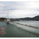 8. 감사 / 베리 꽃의 베리 꿀, 베리 굿 이미지