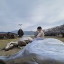 엑스포로 | 고성 공룡엑스포로 유명한 당항포 관공지로 주말 봄나들이 방문 후기