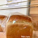 빵굽는고양이 이미지