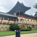 불국사초등학교 | 경주 2박3일 여행코스 3일차 (불국사, 카페, 맛집, 디저트 총정리)