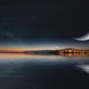 비둘기한국@ 이미지