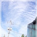 벌말매운탕 이미지